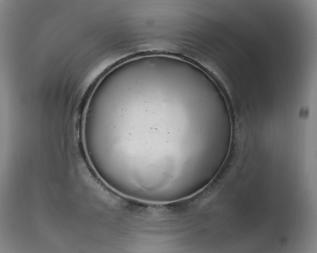 X0000111450983200907201045