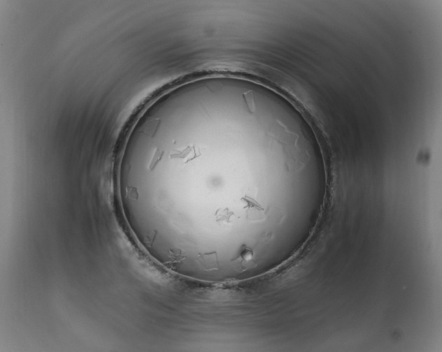 X0000111450984200907201045