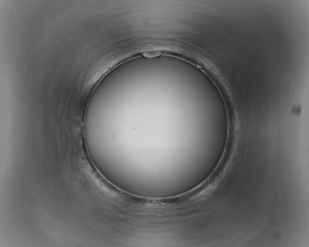 X0000111450985200907201045
