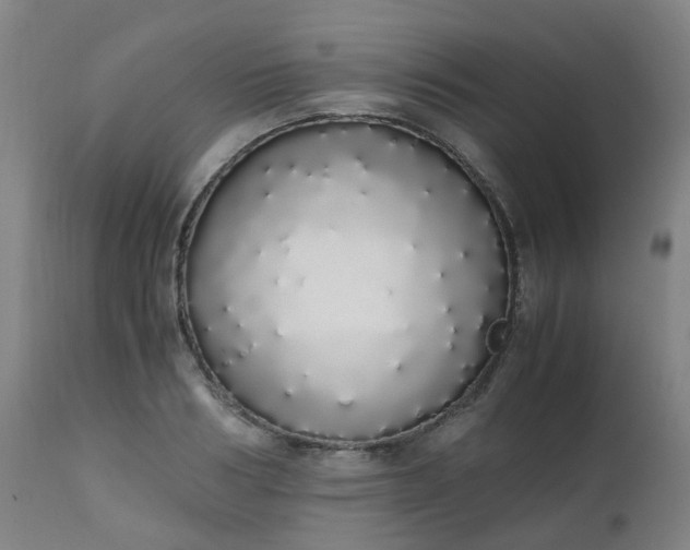 X0000111450986200907201045
