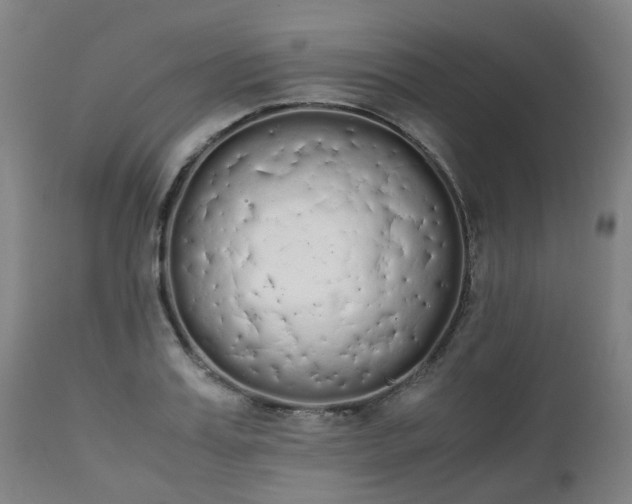 X0000111450987200907201044