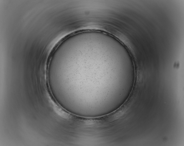 X0000111450988200907201044