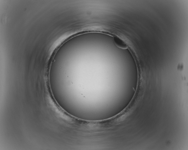 X0000111450989200907201044