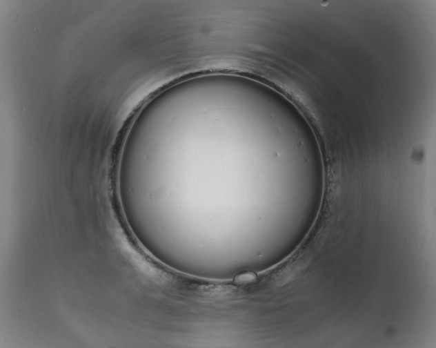 X0000111450991200907201044