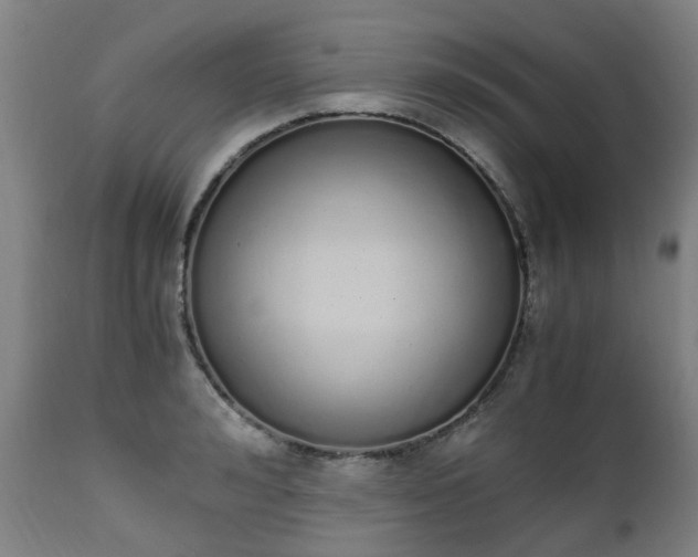 X0000111450992200907201044