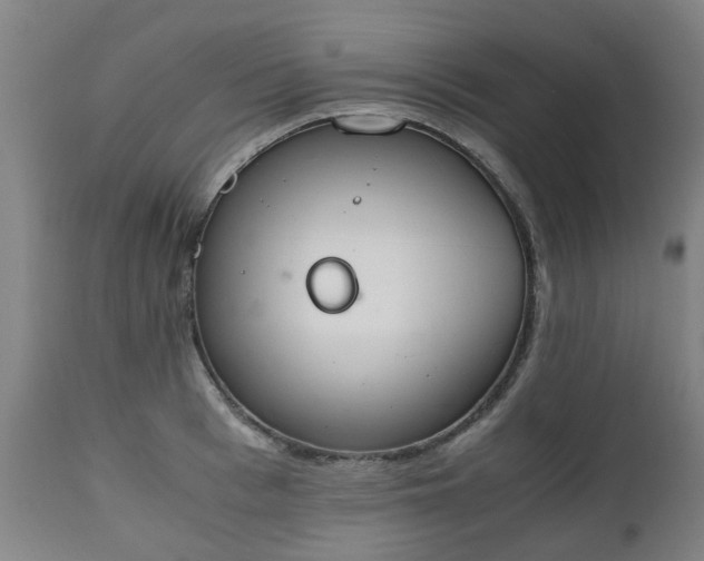 X0000111450993200907201044