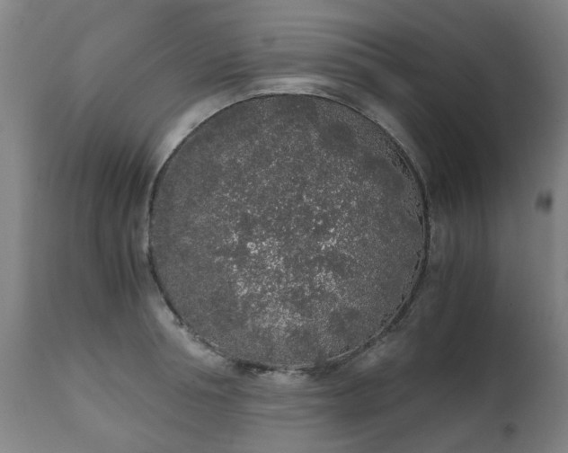 X0000111450994200907201044