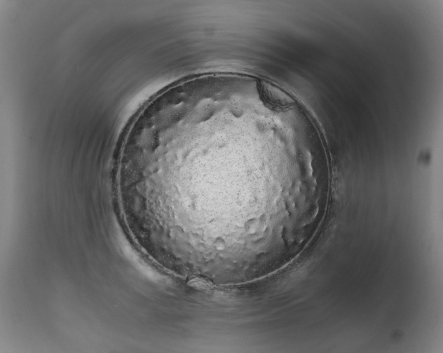 X0000111450995200907201044