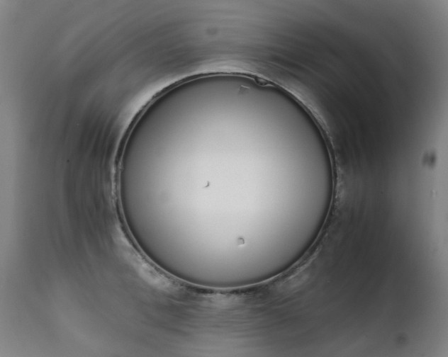 X0000111450996200907201044