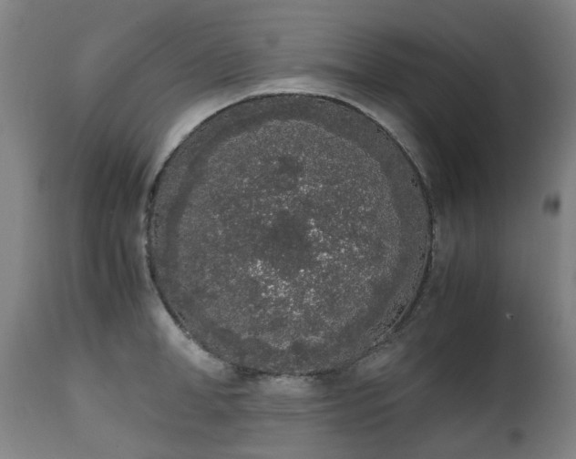 X0000111450998200907201044