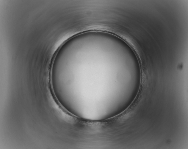 X0000111450999200907201044