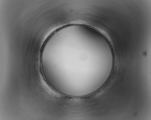 X0000111451000200907201044