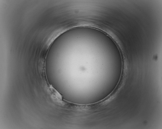 X0000111451001200907201044