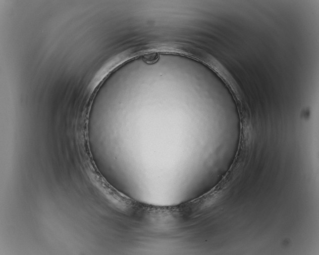 X0000111451002200907201044