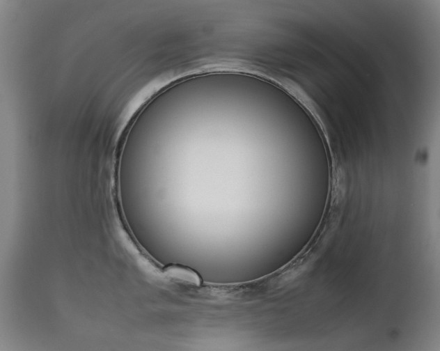 X0000111451005200907201044