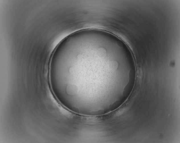 X0000111451007200907201044