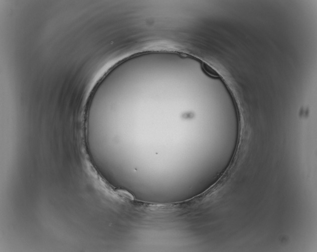 X0000111451008200907201044