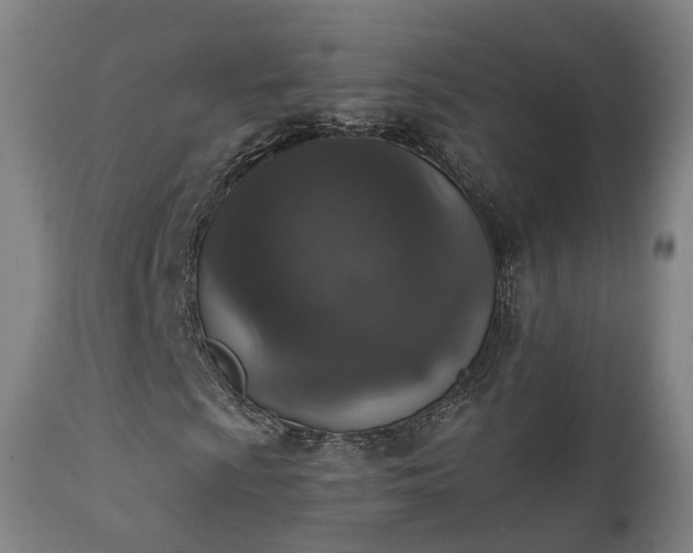 X0000111451009200907201043