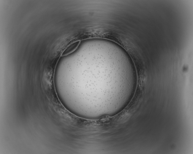 X0000111451010200907201043