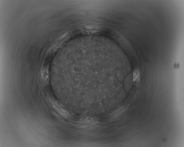 X0000111451011200907201043