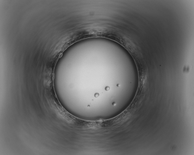 X0000111451012200907201043