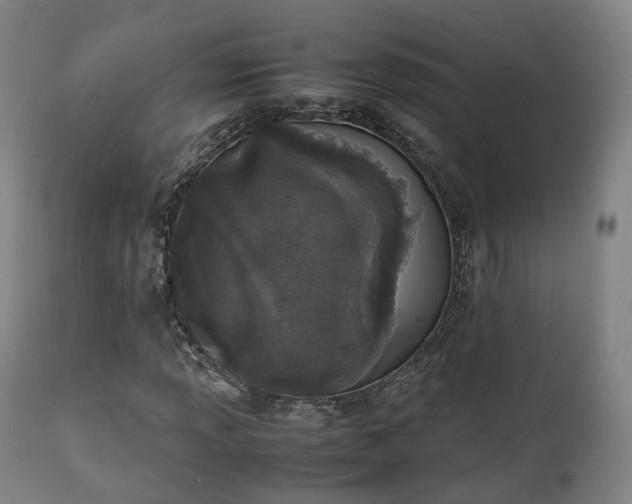 X0000111451013200907201043