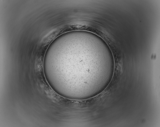 X0000111451014200907201043