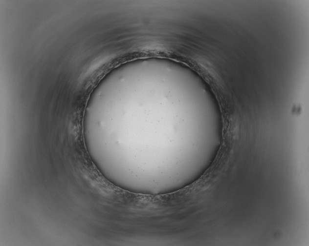 X0000111451015200907201043