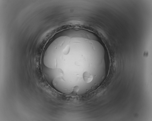 X0000111451016200907201043