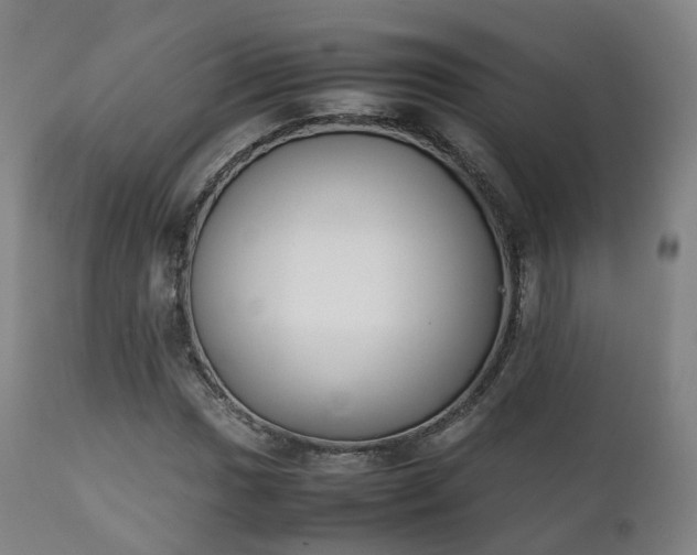 X0000111451017200907201043
