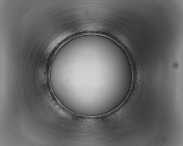 X0000111451018200907201043