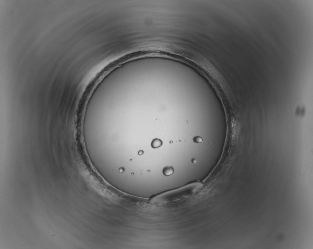 X0000111451020200907201044