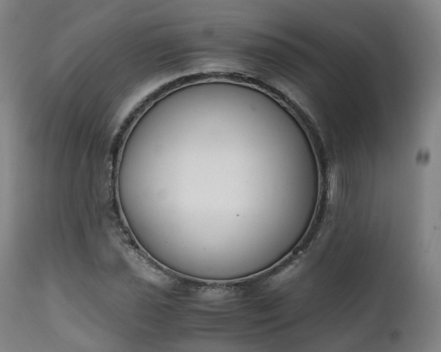 X0000111451021200907201044