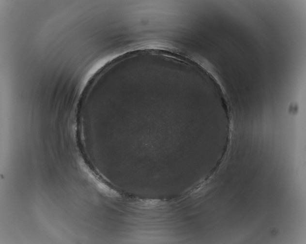 X0000111451024200907201044