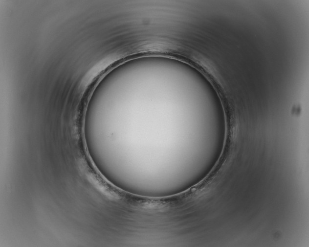 X0000111451026200907201044