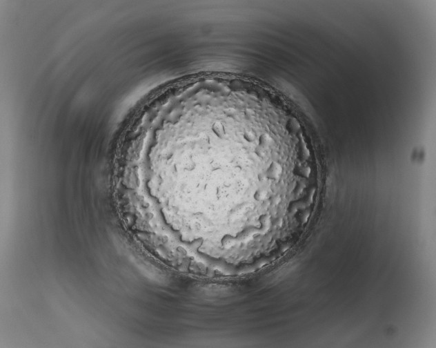 X0000111451027200907201044