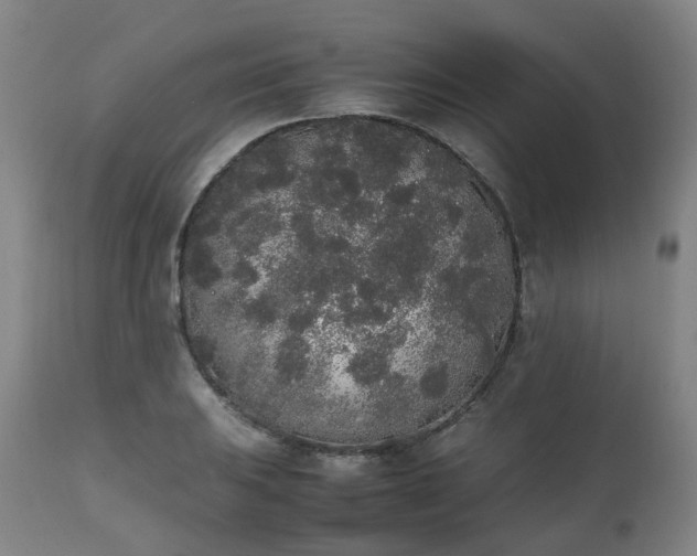 X0000111451031200907201044