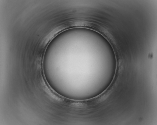 X0000111451033200907201044