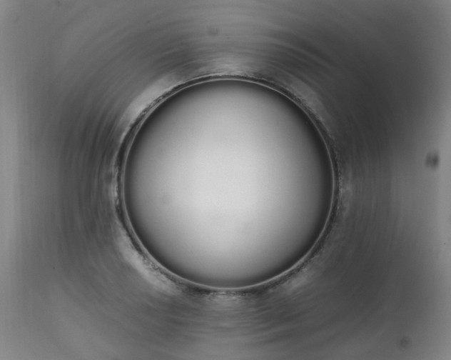 X0000111451034200907201044