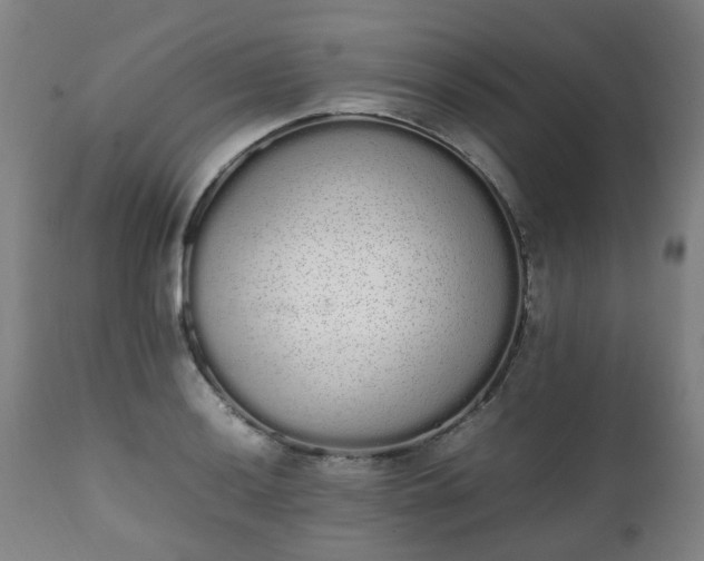 X0000111451036200907201044