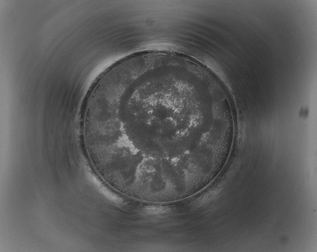 X0000111451037200907201044