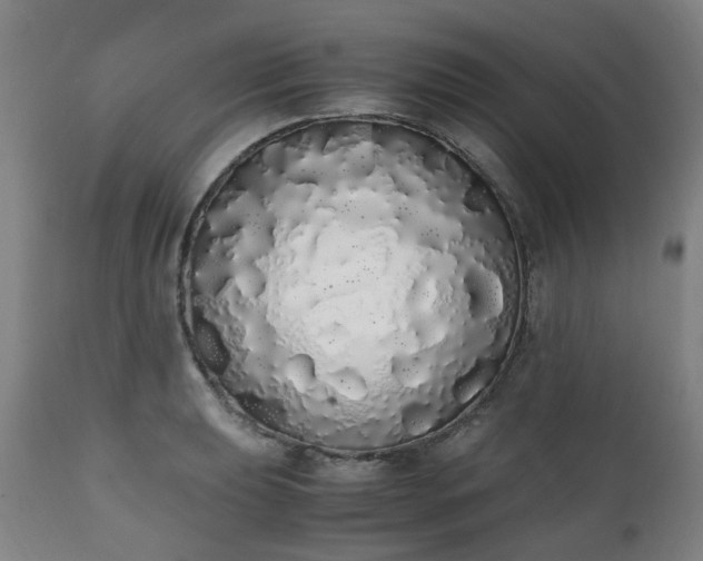 X0000111451039200907201044
