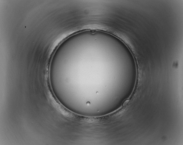 X0000111451040200907201044