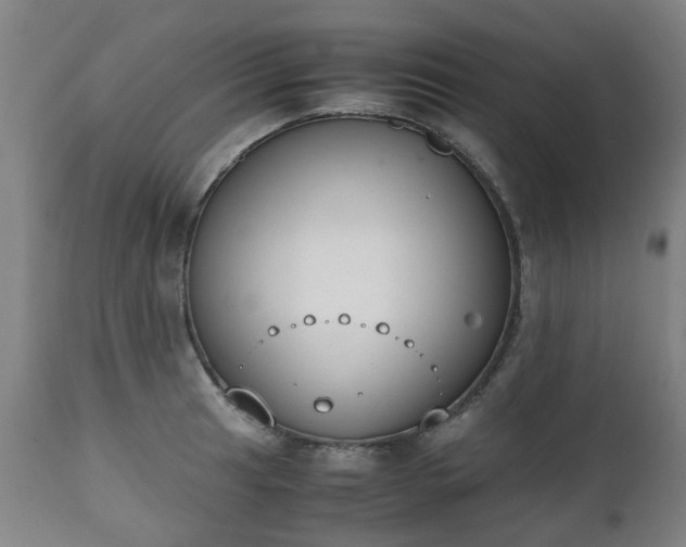 X0000111451041200907201044