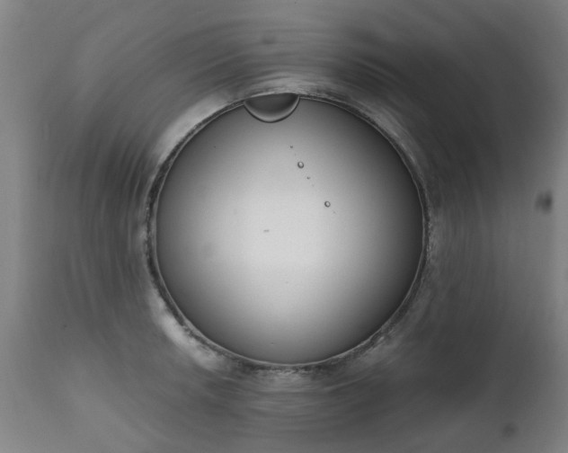 X0000111451042200907201044