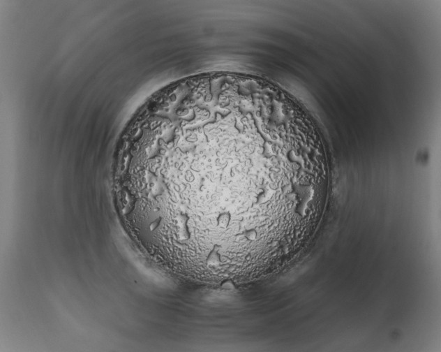 X0000111451043200907201044