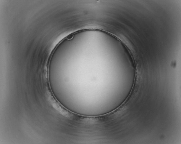 X0000111451044200907201044