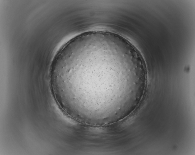 X0000111451045200907201044