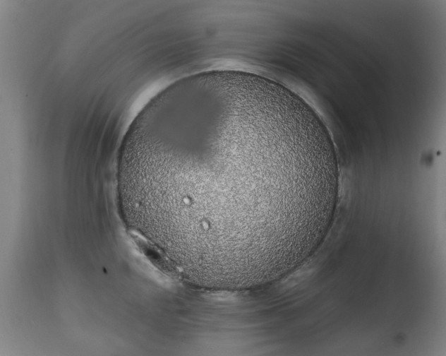 X0000111451048200907201044