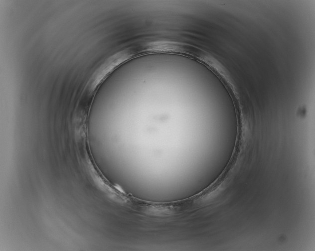 X0000111451049200907201044